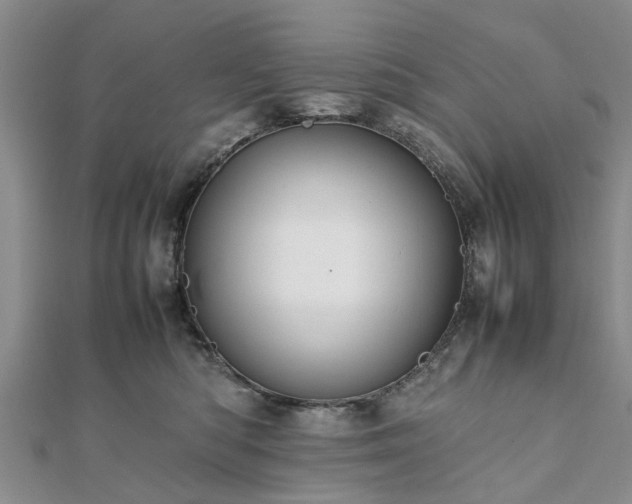 X0000111840422200907301054