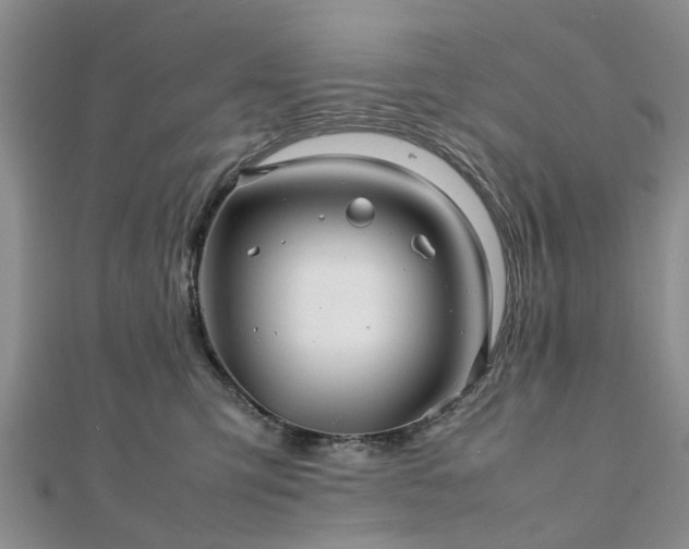 X0000111840423200907301054