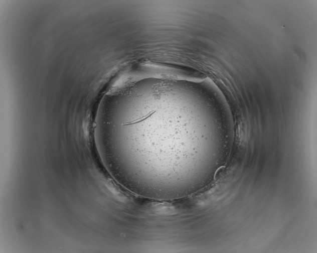 X0000111840424200907301054