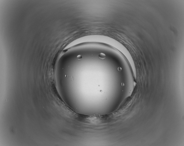 X0000111840425200907301054