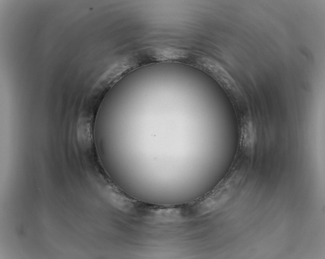 X0000111840426200907301054