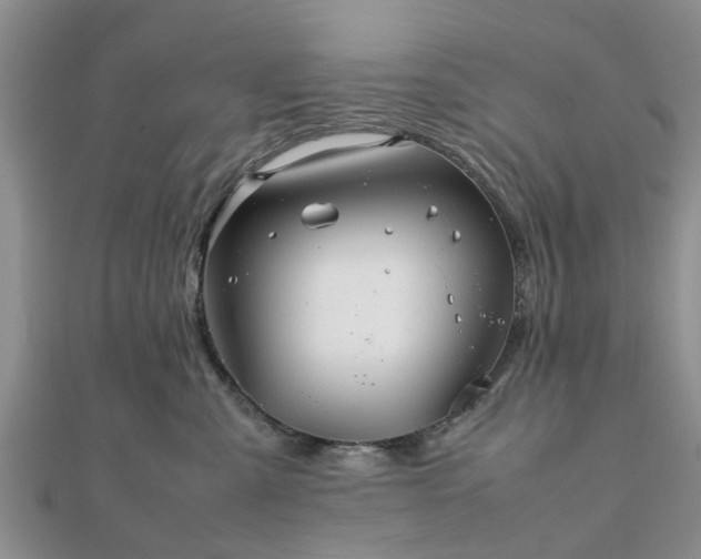 X0000111840427200907301054