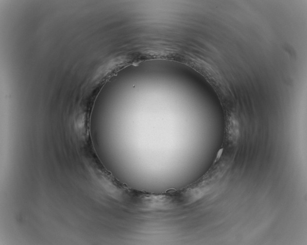 X0000111840428200907301054