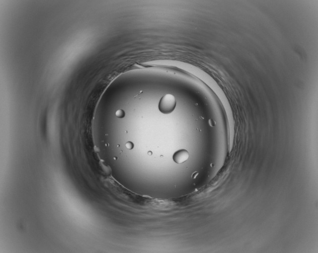 X0000111840429200907301054