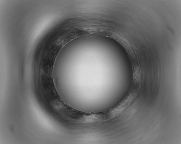 X0000111840430200907301054