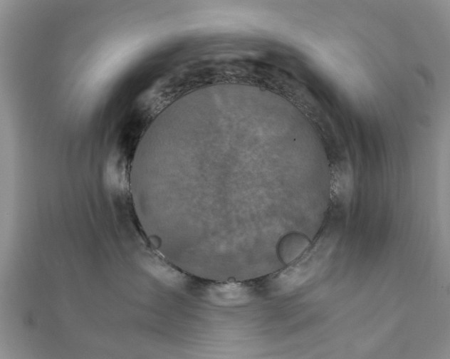 X0000111840431200907301054