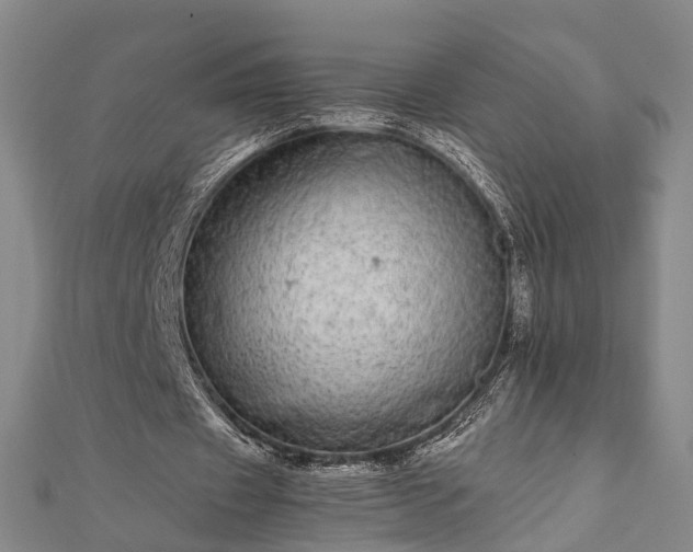 X0000111840433200907301053