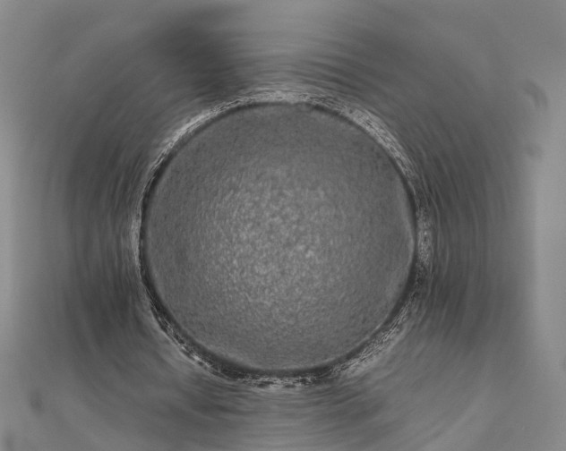 X0000111840434200907301053