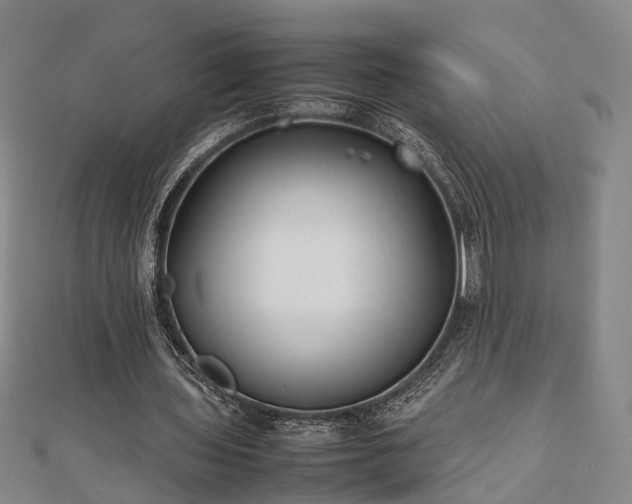 X0000111840435200907301053