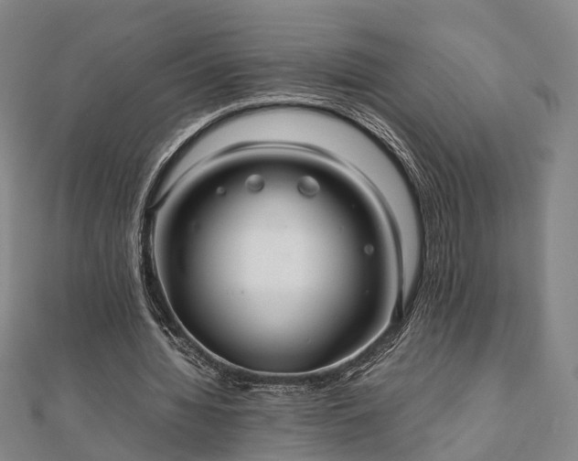 X0000111840436200907301053