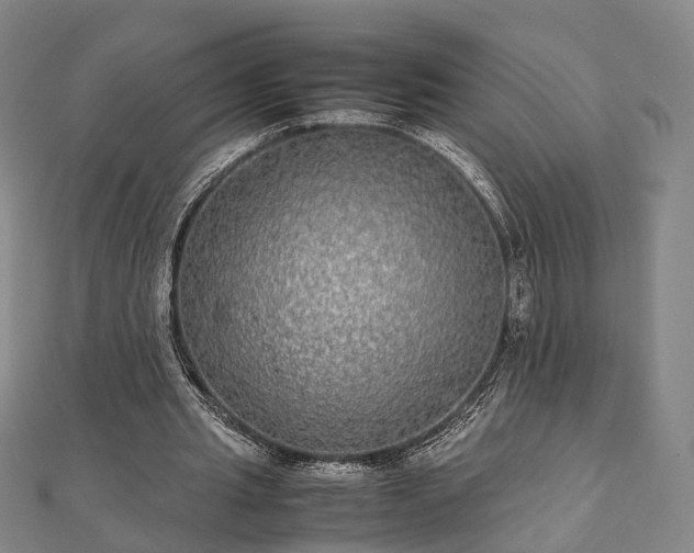 X0000111840437200907301053