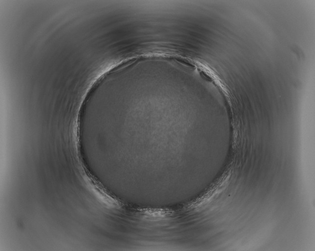 X0000111840439200907301053