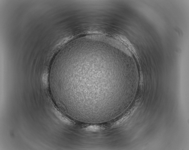 X0000111840441200907301053