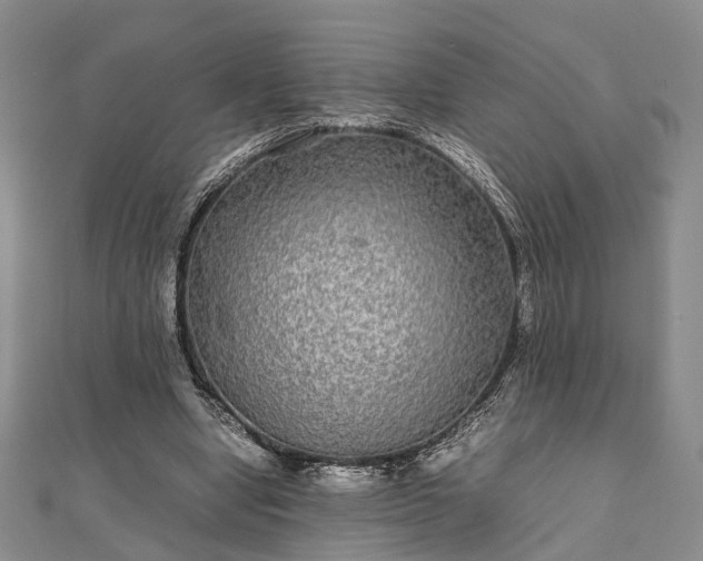 X0000111840442200907301053