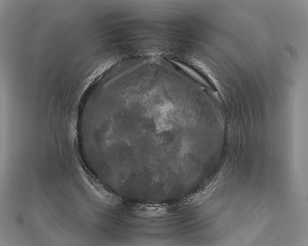 X0000111840443200907301053