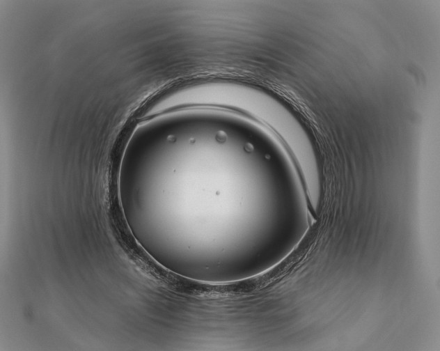 X0000111840444200907301053