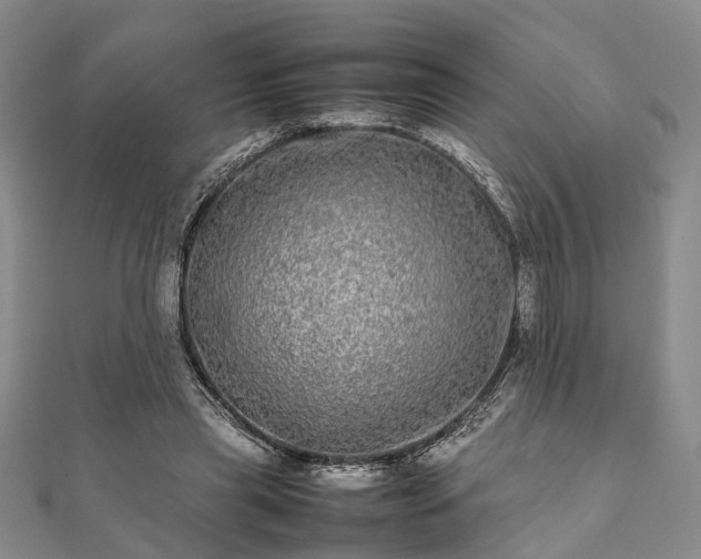 X0000111840445200907301053