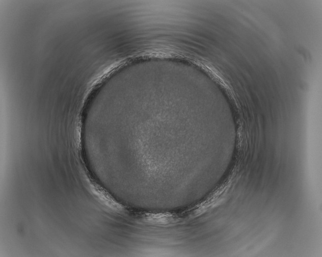 X0000111840446200907301053