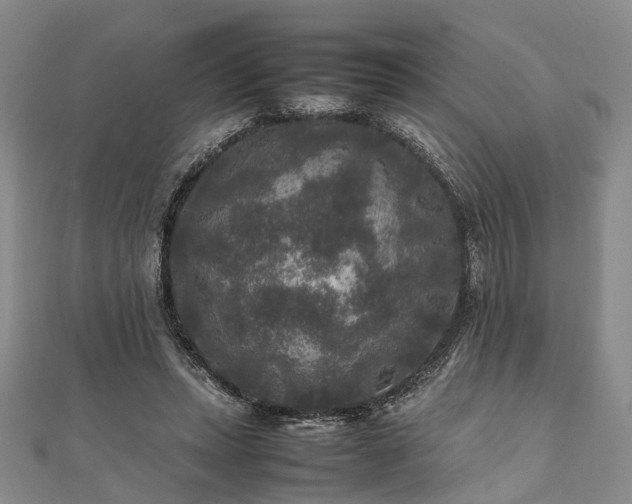 X0000111840447200907301053