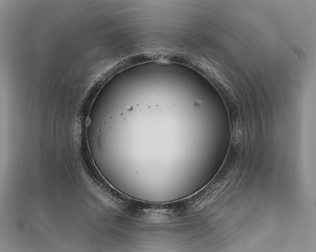 X0000111840448200907301053