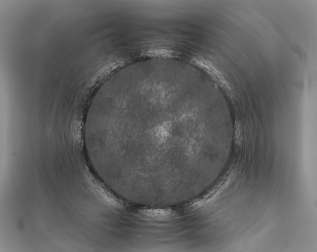 X0000111840449200907301053