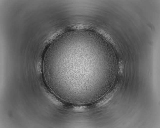 X0000111840450200907301053