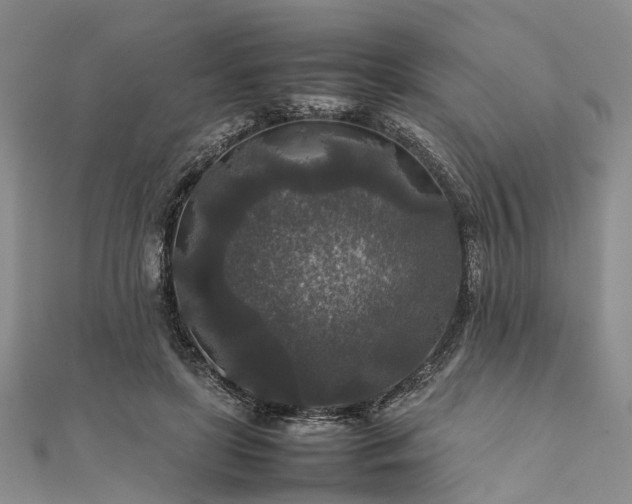 X0000111840451200907301053