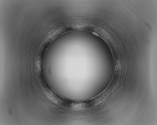 X0000111840452200907301053