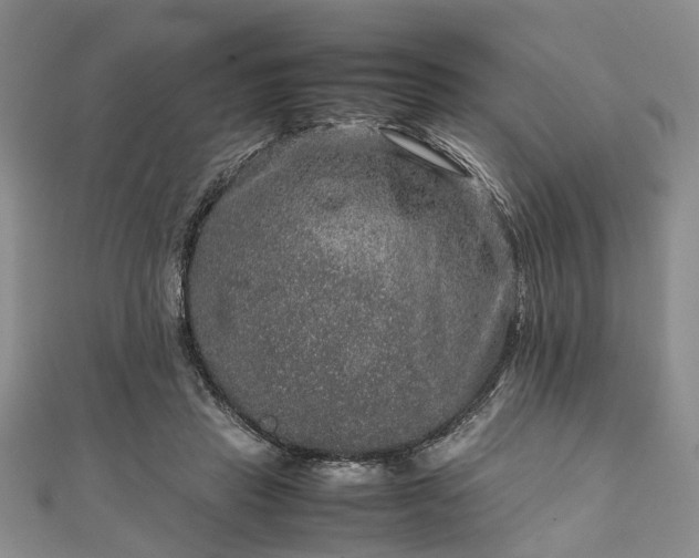 X0000111840453200907301053