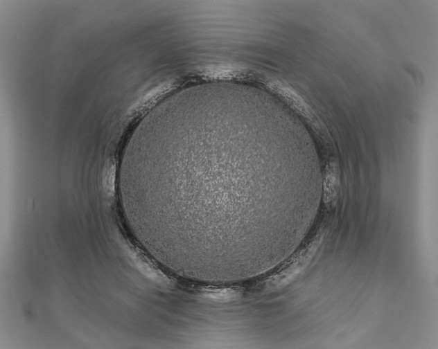 X0000111840454200907301053