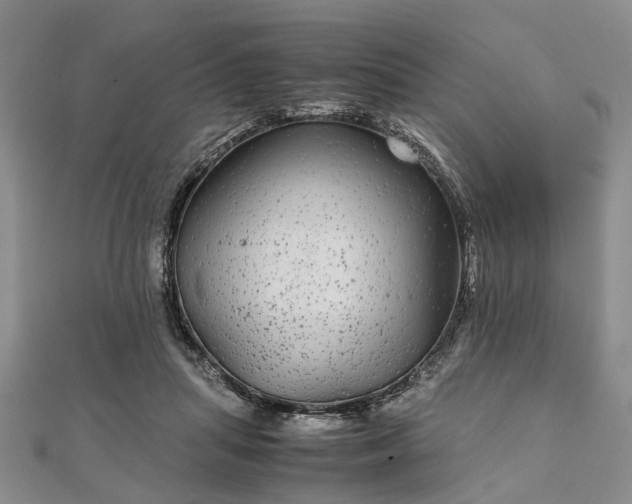 X0000111840455200907301053