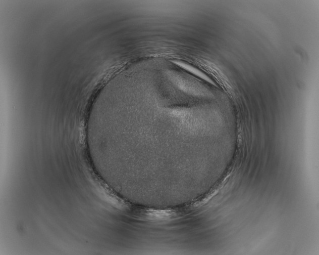 X0000111840457200907301054