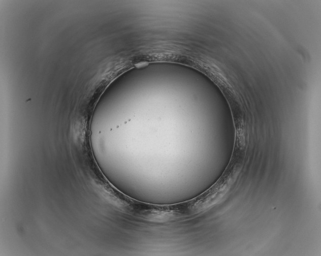 X0000111840458200907301054