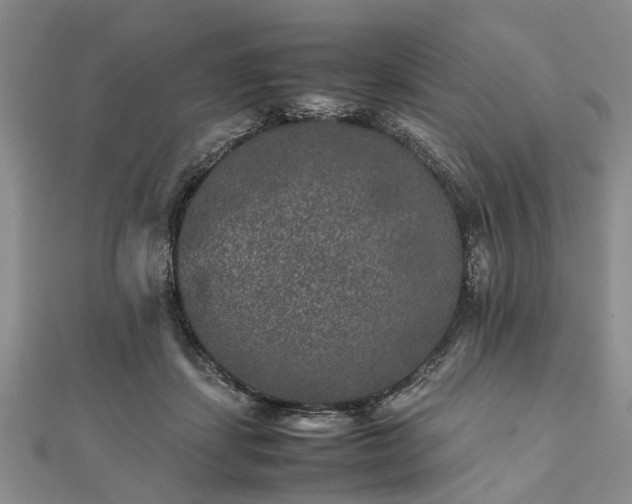 X0000111840459200907301054