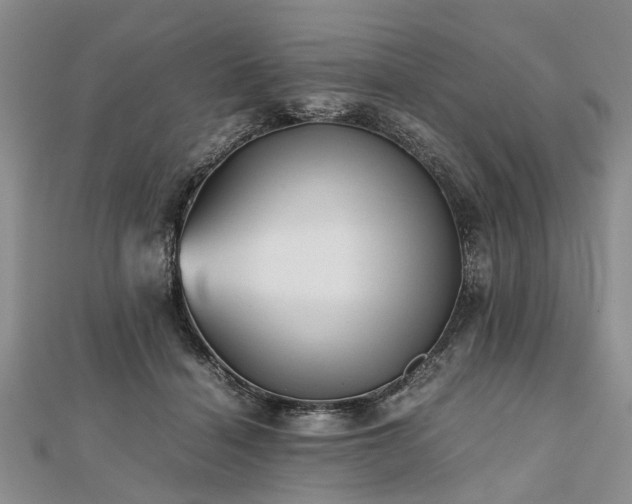 X0000111840460200907301054