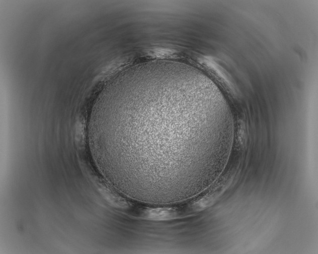 X0000111840461200907301054