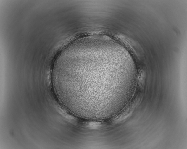 X0000111840462200907301054