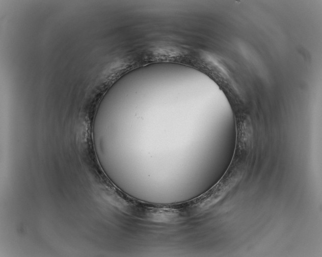 X0000111840463200907301054