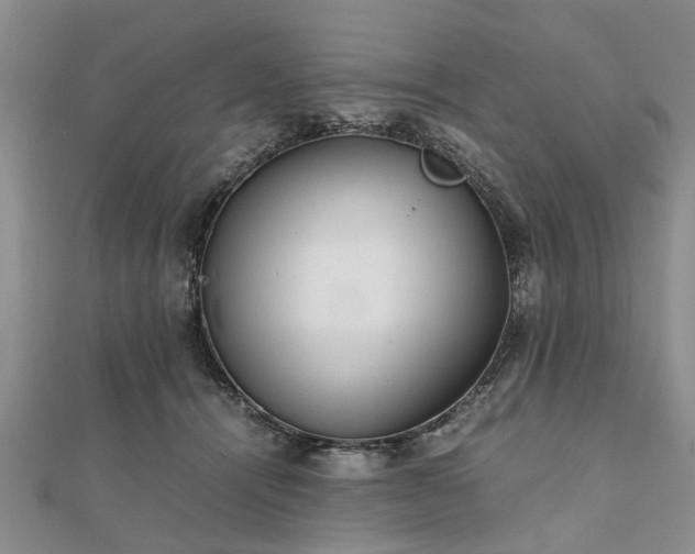 X0000111840464200907301054