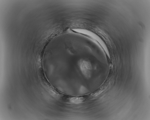 X0000111840465200907301054