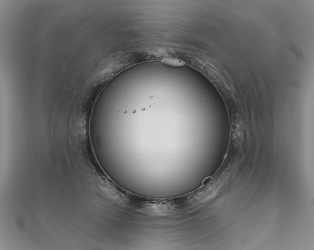 X0000111840466200907301054