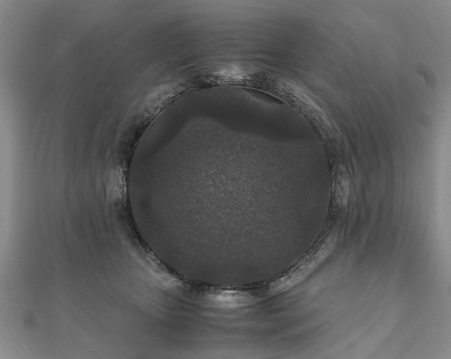 X0000111840467200907301054