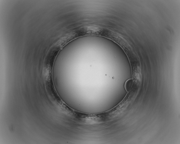 X0000111840468200907301054