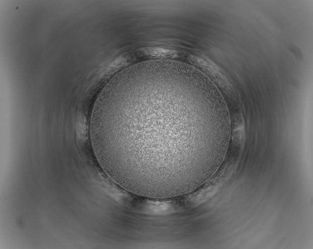 X0000111840469200907301054