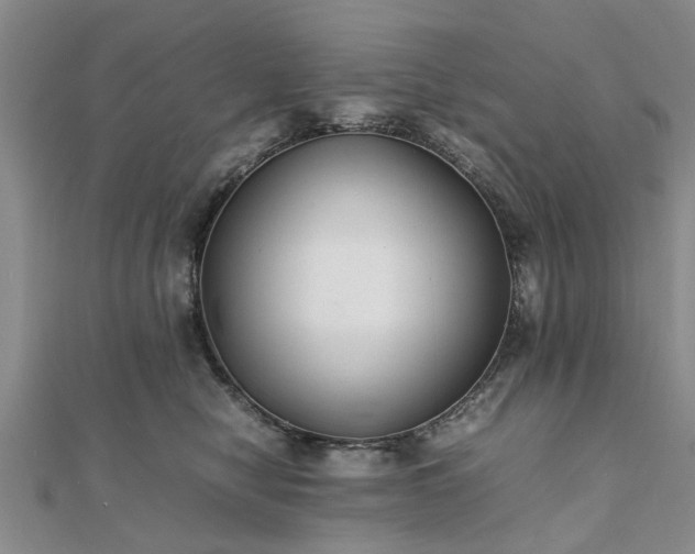 X0000111840470200907301054