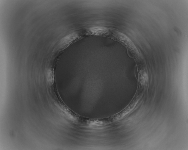 X0000111840471200907301054