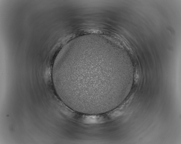 X0000111840473200907301054