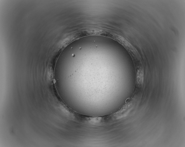 X0000111840474200907301054