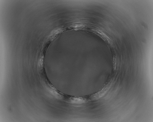 X0000111840475200907301054