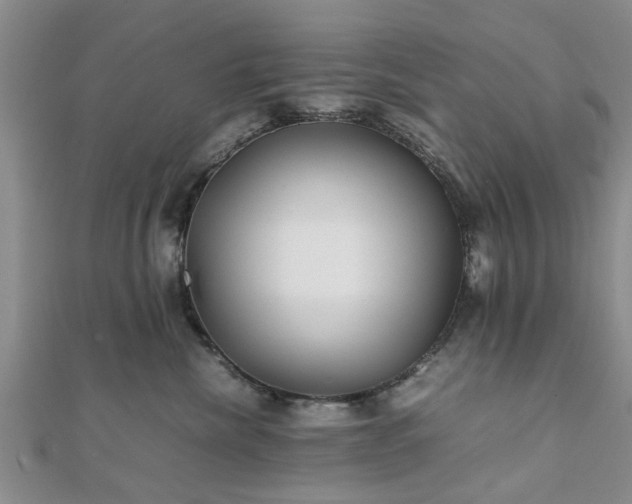 X0000111840476200907301054